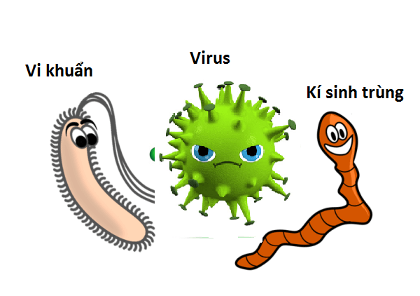 Virus, vi khuẩn là những nguyên nhân gây sốt ở trẻ